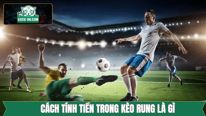Cách tính tiền thắng khi cá cược Running